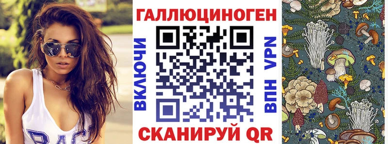 Псилоцибиновые грибы Psilocybe  закладки  Слюдянка 
